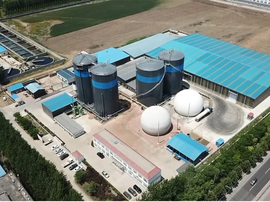 Why Choose Qingdao Haiyue？