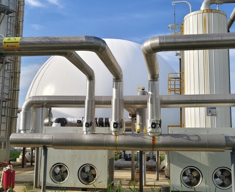 Biogas Domes (1)