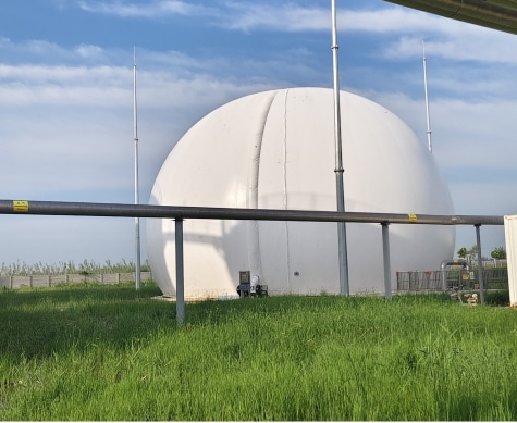 Biogas Domes (2)