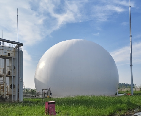 Biogas Domes