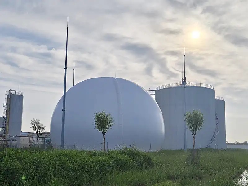 What Can You Learn from This Dairy Farm Biogas Project