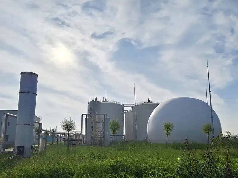 What Did the Biogas Project Investment Actually Build