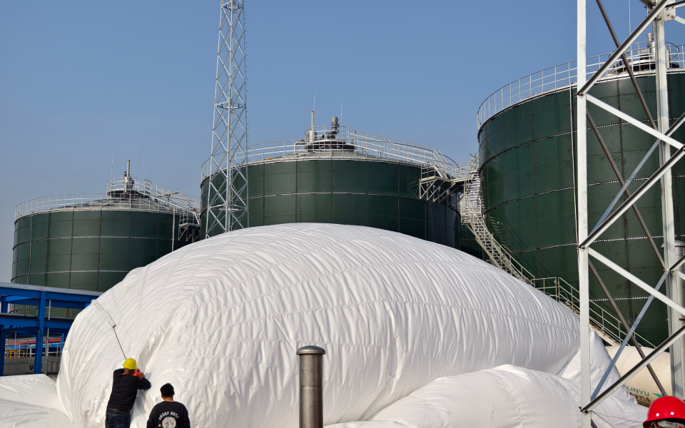 biogas dome