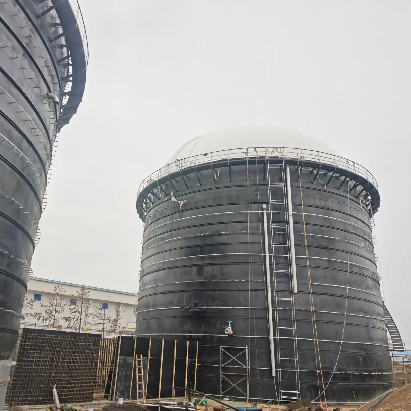 Integrated biogas dome